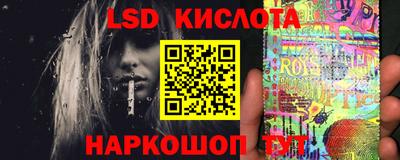 сатива Краснодар