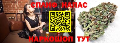 сатива Краснодар