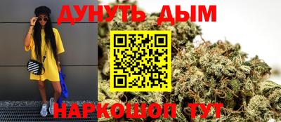 сатива Краснодар