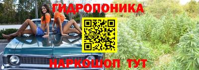 эйфоретик Краснокаменск