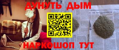 сатива Краснодар