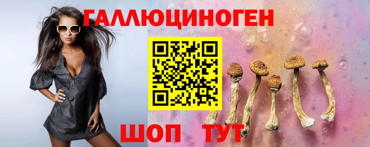 Псилоцибиновые грибы Psilocybine cubensis Касимов